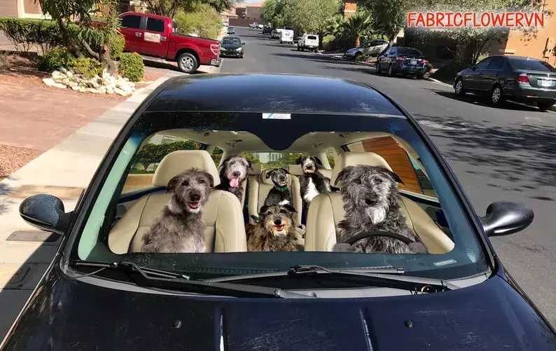 Scottish Deerhound Car Sunshade Car Decoration Windshield, Dog Lovers Gift Car Sunshade, Gift For Mom, Gift For