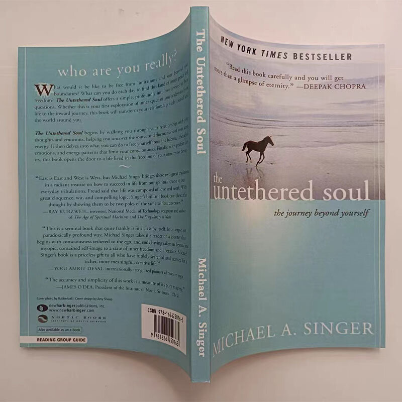 A alma não relacionada por Michael A. New York Times Livro Romance, A Viagem Além De Si, Bestseller, Livro de Paperback, #1
