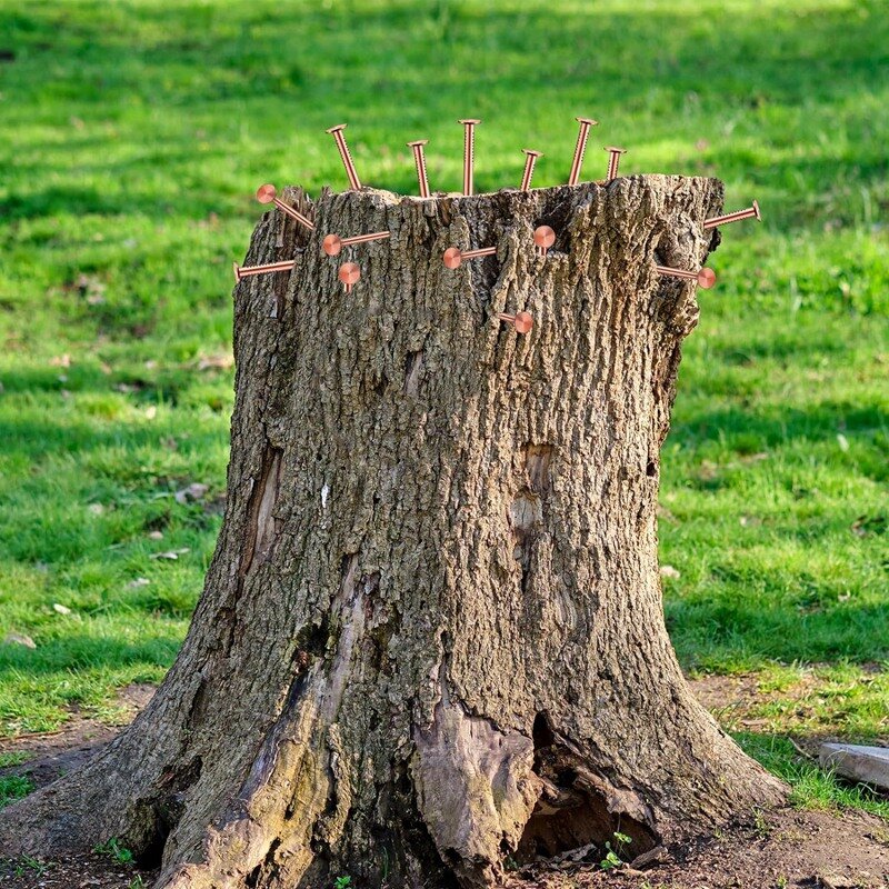 Pure Copper Nails Bulk Stump Removal Spikes, Hardware Pregos para Árvores, 25 Pcs, 3,5"