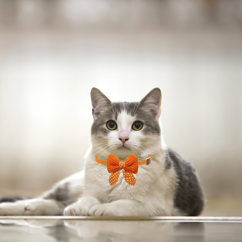 50/100 шт., шерстяной стиль, Φ разных цветов, модный галстук-бабочка для кошек и собак