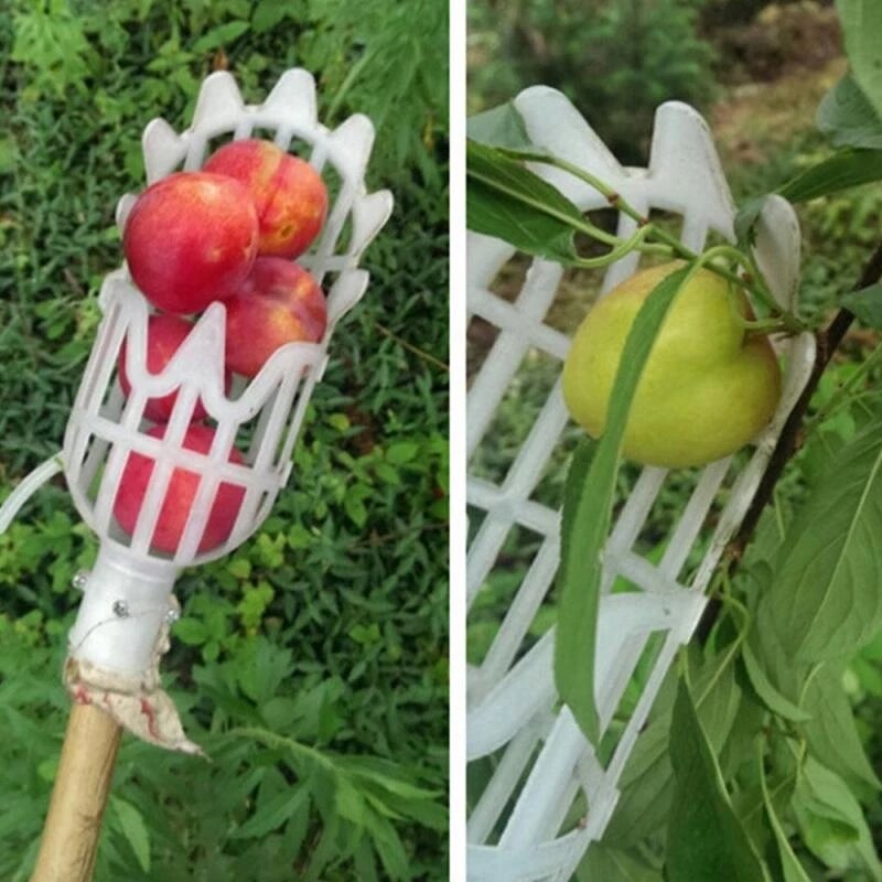 Plastikowe owoce narzędzie do zbierania kosz ogrodowy głowy zbierak do owoców zbierak do owoców na dużych wysokościach, zbierając narzędzie do zbierania Loquat Bayberry