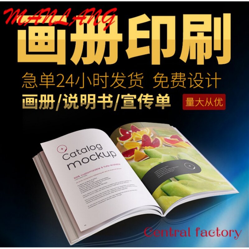 Custom  High Quality Premium Brochure/ Flyer/Booklet Printing