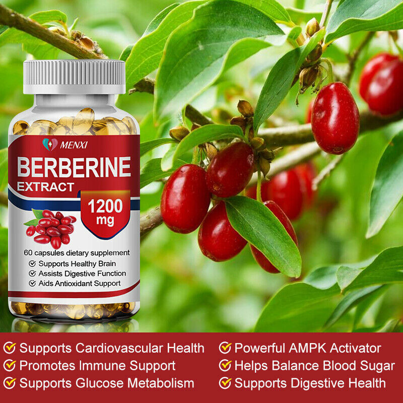 MENXI Berberine HCl 1200mg, supporto per zucchero nel sangue ad alto assorbimento per la salute del cuore-senza glutine, vegetariano e Non ogm 60 capsule