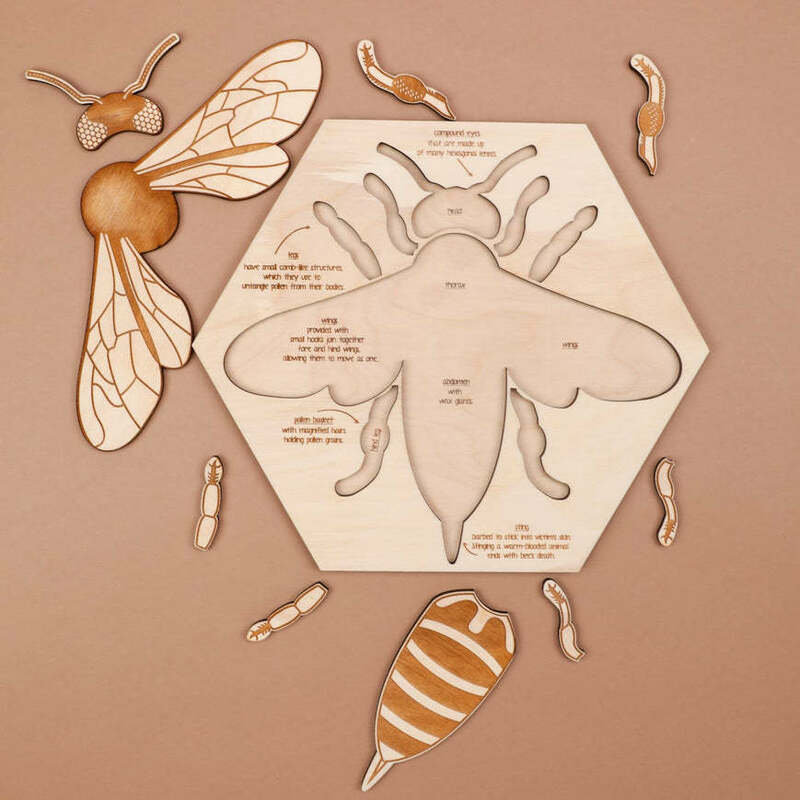 Honeybee Anatomical ไม้หลายปริศนาเด็กเรียนรู้ความรู้ความเข้าใจปริศนาของเล่นของขวัญ