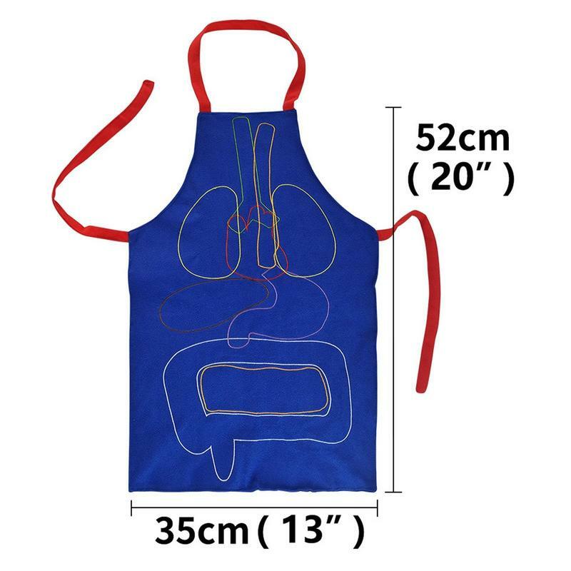 3D Organ Apron Body Parts For Kids Apron Human Body Organs Awareness Educational Toy For Home Preschool Teaching Aid Transparent