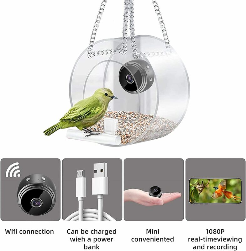 Alimentador de aves inteligente con cámara, conexión WIFI, 1080P, visualización en tiempo Real y grabación, carga USB, minicámara, suministros para mascotas pequeñas