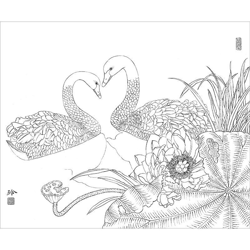 Chinese Swan Painting Line Draft Meticulous Painting Print Line Drawing Manuscript Beginner Copy Colorize Practice Line Draft