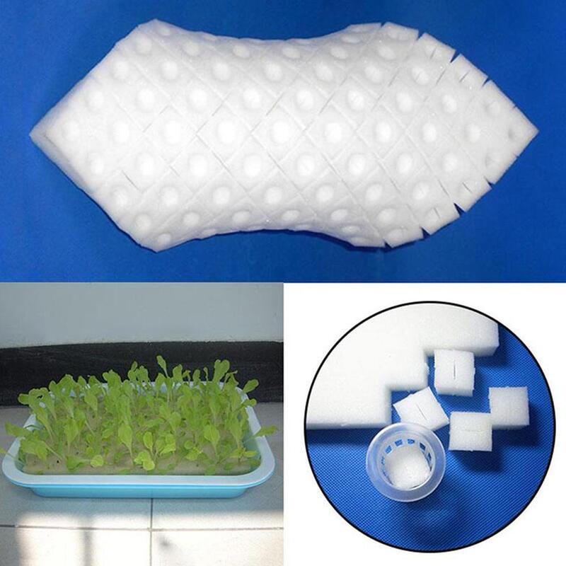 1/2 lembar spons bibit putih hidroponik tanpa tanah bibit tanaman penanam bunga pembibitan kebun kerah kloning