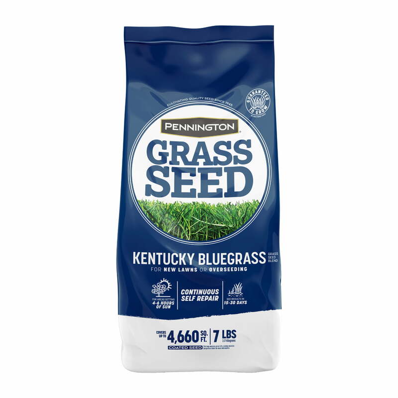 Mezcla de semillas de hierba del norte de Pennington, Kentucky, Bluegrass, para sol a sombra parcial, 7 lb.