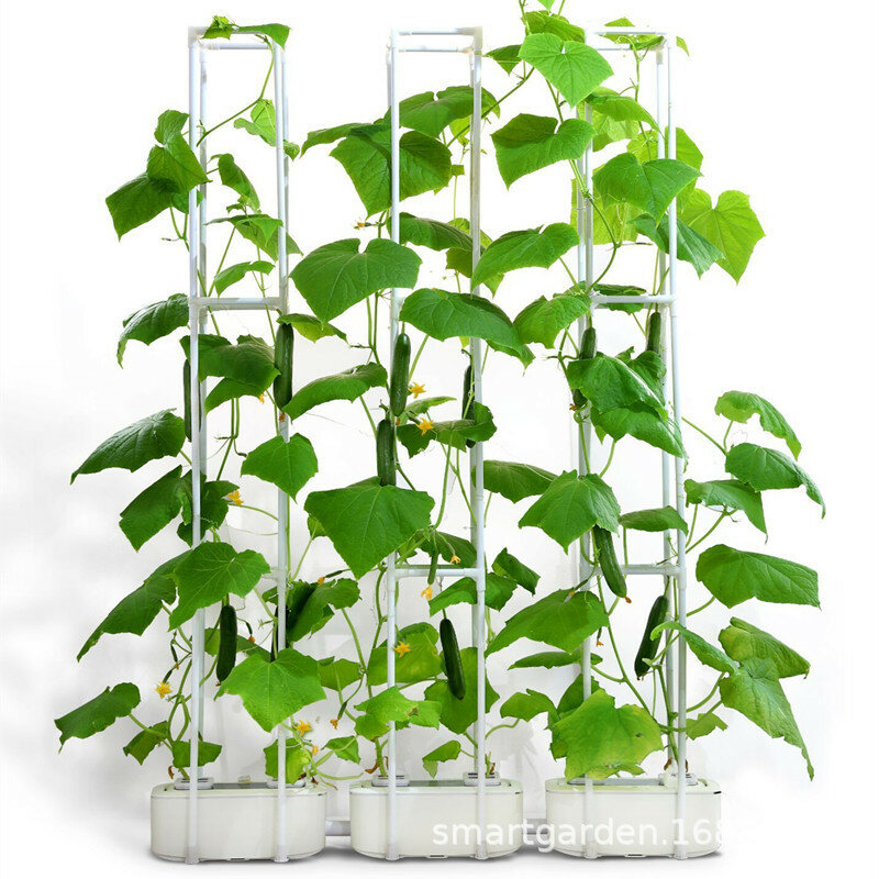 Hydroponic แผงกระถางต้นไม้ผักกล่องปลูกพืชในร่มชาวไร่อุปกรณ์อัตโนมัติรดน้ำ Hidroponic ระบบ