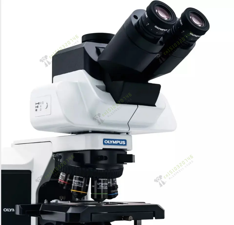 Microscopio Binocular de laboratorio, BX43, Olympus, China, precios de fábrica