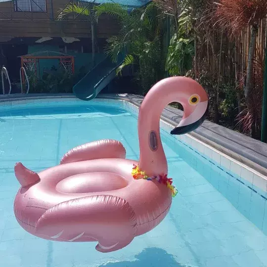 Flotteur de piscine gonflable flamant rose, anneau de natation, jouets de fête