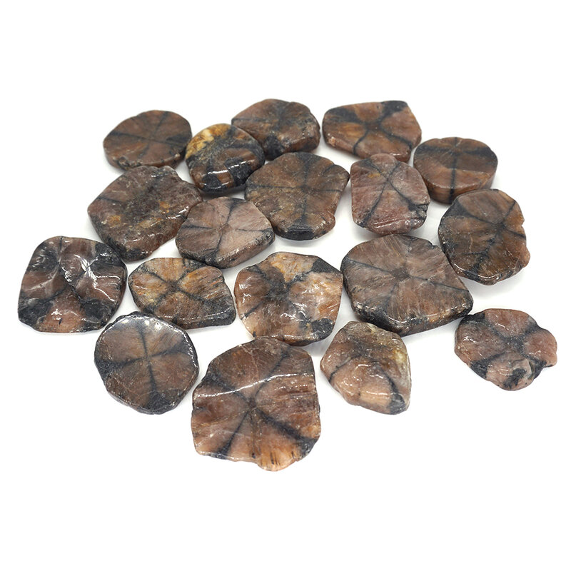 Banyak Batu Poles Alami Grosir Massal Reiki Dipoles Oval Penyembuhan Kristal Tangki Dekorasi Batu Permata Spesimen Koleksi Longgar
