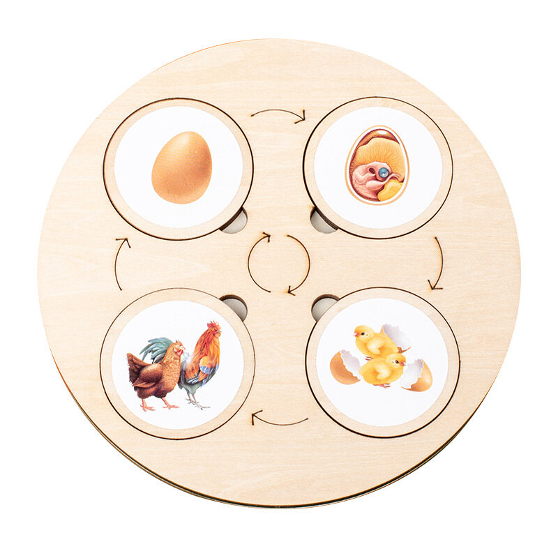 Kit Montessori de tablero de ciclo de vida para niños, bandeja sensorial para Educación de ciencia biológica, figura de Animal, clasificación de ciclo de vida, regalo de Navidad