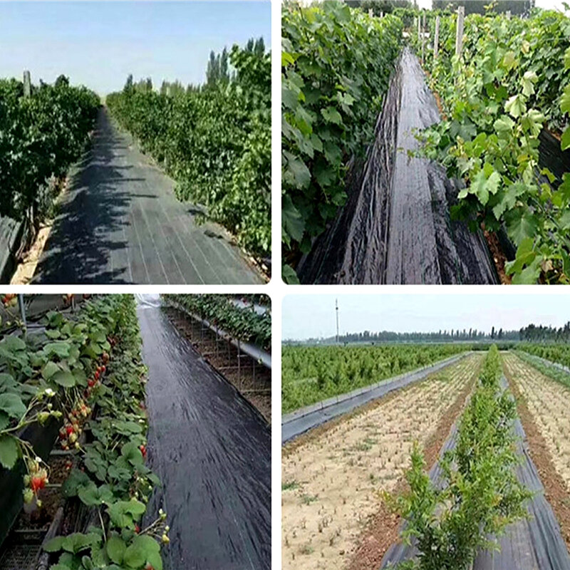 Durable Tarp Breathable And Easy Construction For Gardening Protecting Soil Permeable And Breathable Garden Buildings