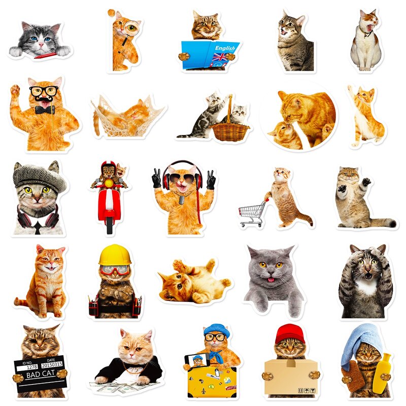 Pegatinas Kawaii de gato Meme para decoración, calcomanías de Graffiti de gatos divertidos para álbum de recortes, diario, botella de agua, portátil, equipaje, 50 piezas