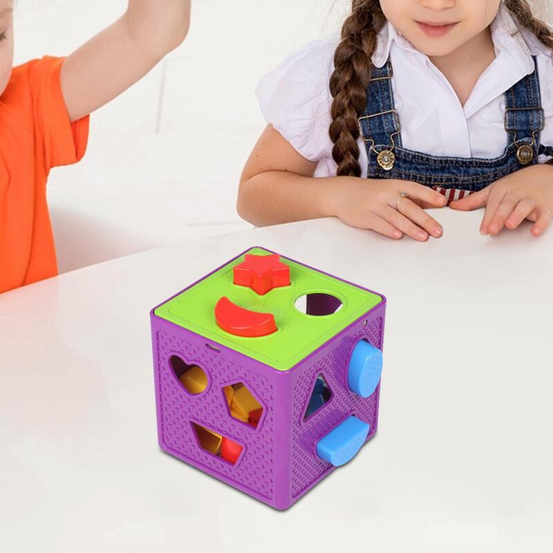 Geometric Shape Blocks and Sorter Box Developmental Interactive Shape Sorter Toy for Preschool Children Baby Kids Birthday Gift