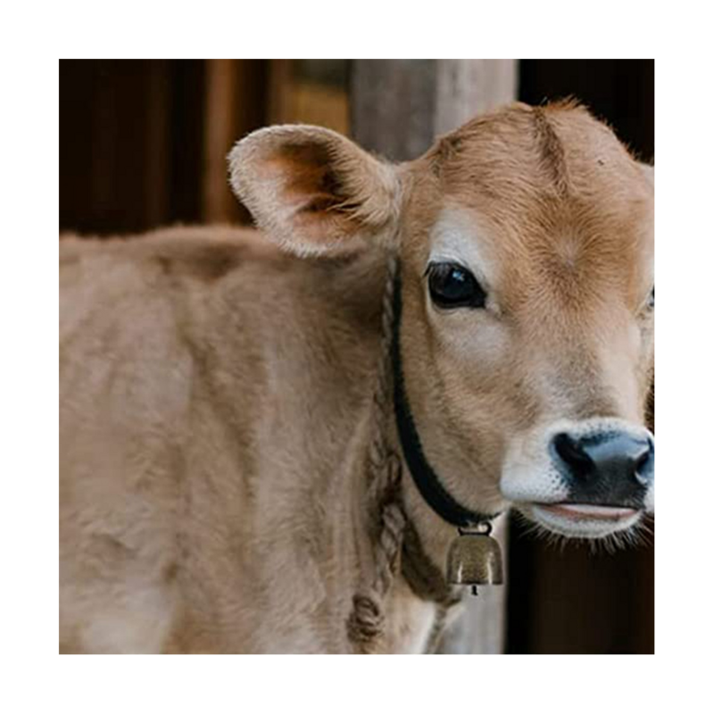 Bel sapi logam gaya Vintage 18PCS, untuk ternak dan domba Grazing, biasa digunakan untuk