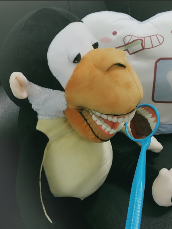Brosse à dents dentaire mignonne avec modèle de dents pour enfants, broCumbria de dents fuchsia, équipement de clinique d'apprentissage du dentiste, cadeaux pour enfants