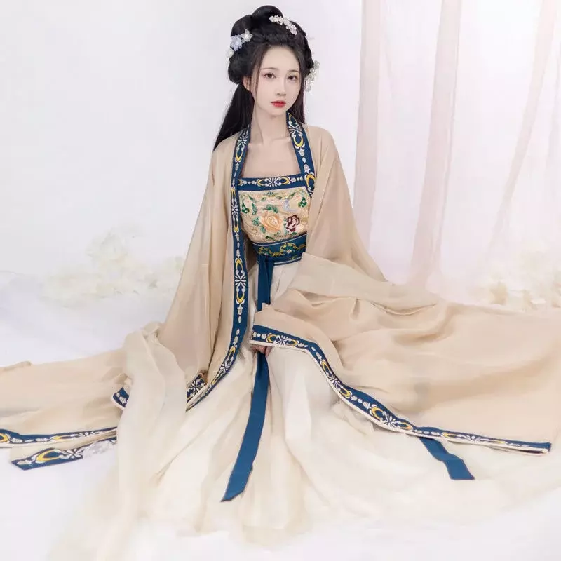 Cinese Hanfu abito tradizionale donna antico ricamo danza fata Costume Cosplay Tang Dynasty femminile gonna estiva Set