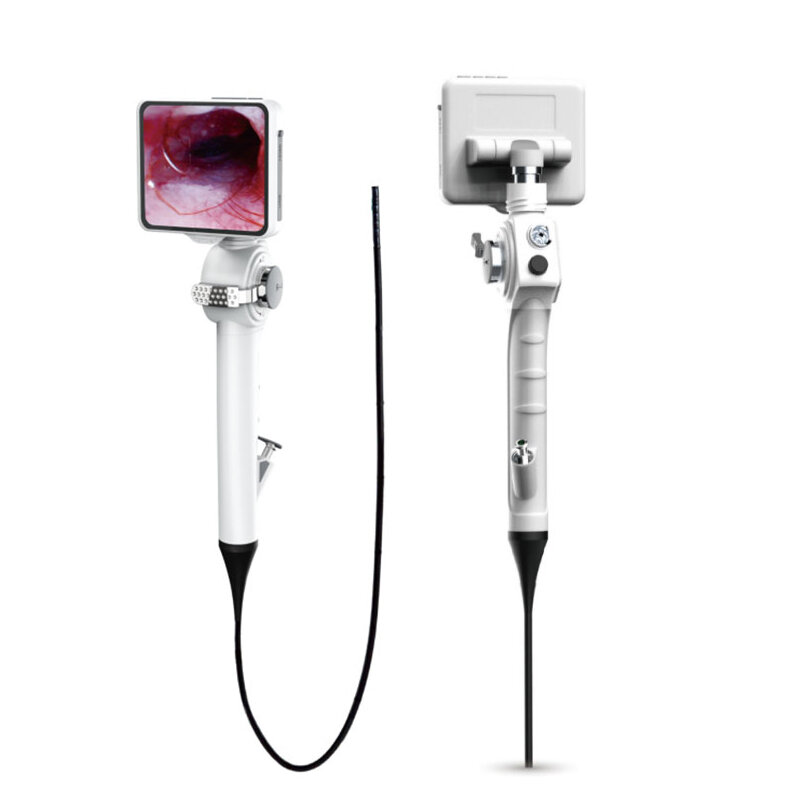 Equipo de endoscopio médico flexible OEM ODM, receptor de imagen digital para animales, equipo de imagen en china