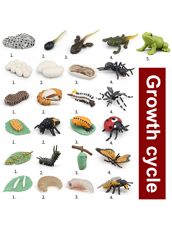 Animales y Plantas simuladas para la Educación de la primera infancia, modelo de juguete para niños, siete mariquitas estrelladas, mariposas, abejas, tortugas