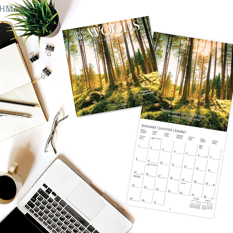 2024 Wall Calendar Into The Woods Thick Paper Home & Office Organizer Large Monthly Grid Marked Holidays Calendars 2024 For Home