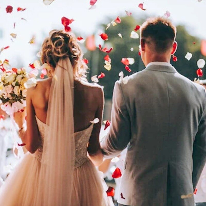 Pétalos de rosa artificiales para decoración romántica, pétalos de rosas artificiales de color rojo, blanco y dorado, para fiesta de boda, 100 piezas