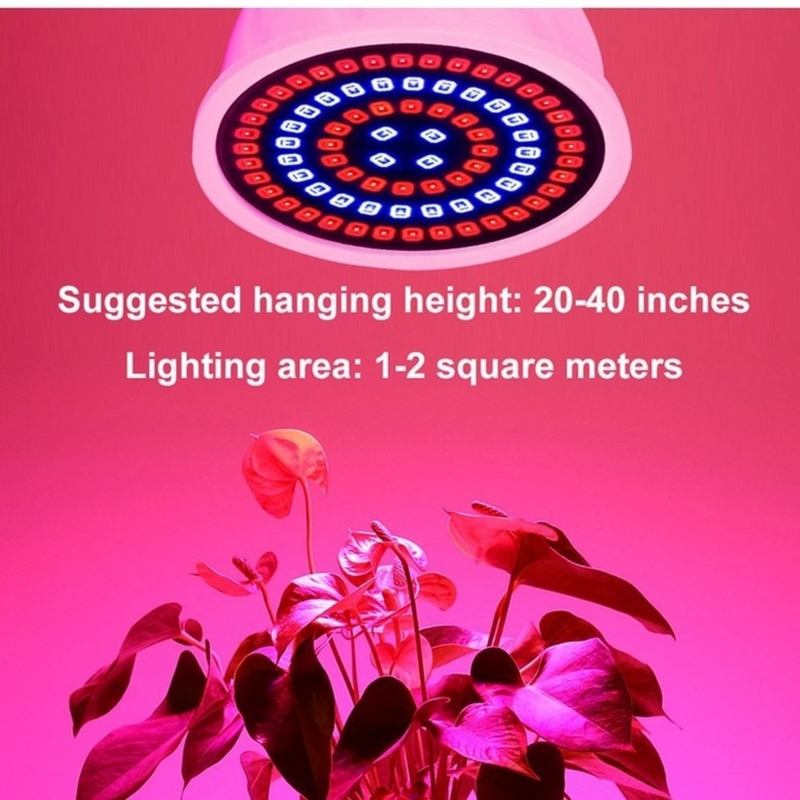 Ampoule hydroponique LED pour serre, lampe de croissance pour plante d'intérieur, Phyto FlowerLamp, E14 GU10 MR16 220V, 3 pièces