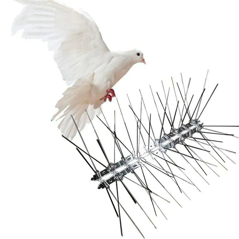 Paku penangkal burung Stainless Steel, alat pencegah burung merpati, pagar burung kecil 1 ~ 10 buah