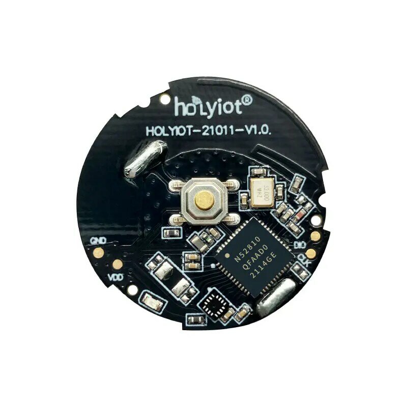 Holyiot-Sensor de bajo consumo de energía, NRF52810, etiqueta de baliza, Bluetooth 5,0, módulo inalámbrico, lBeacon Eddystone para lOT Smart Home