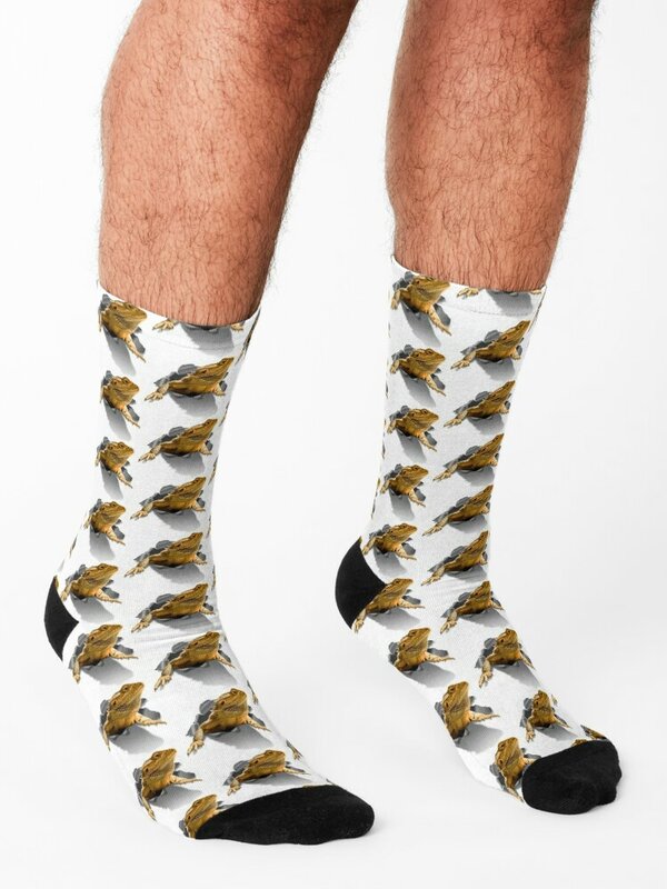 Носки Rippen в виде ящерицы, прозрачные носки, женские мужские носки