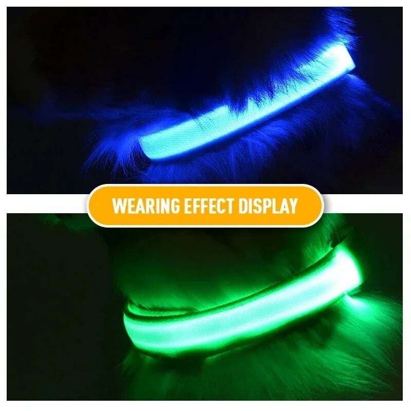 Ricarica USB LED collare per cani sicurezza per cani luce notturna collana lampeggiante collari fluorescenti forniture per animali domestici