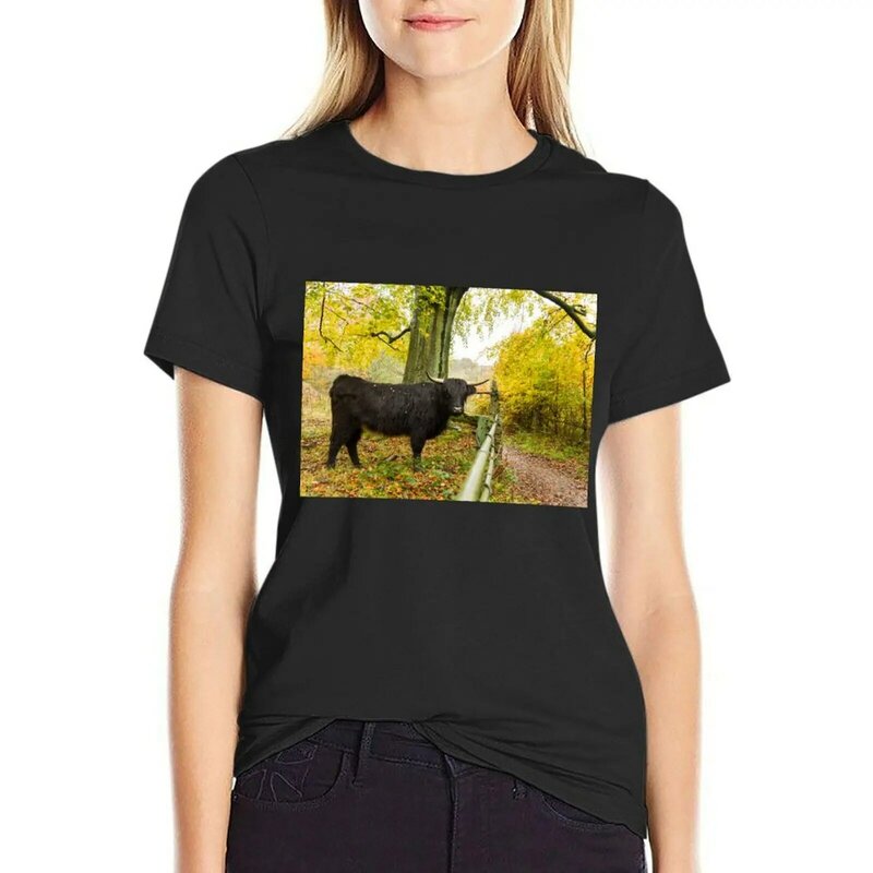 T-shirt Highland Cow and Autumn Dencipour femmes, imprimé animal, chemise pour filles, grande taille, médicaments, vêtements pour femmes