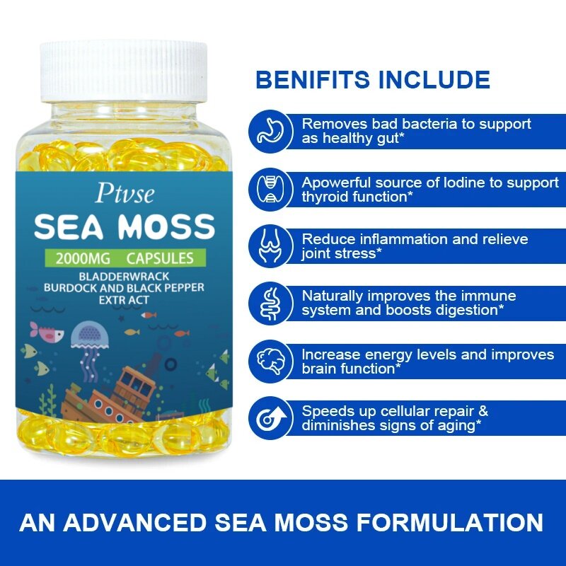 Ptvse  Vegetarian Diet Organic Sea Moss Capsule Helps Immune System ,Joint Health Intestinal Cleansing Thyroid Supplement