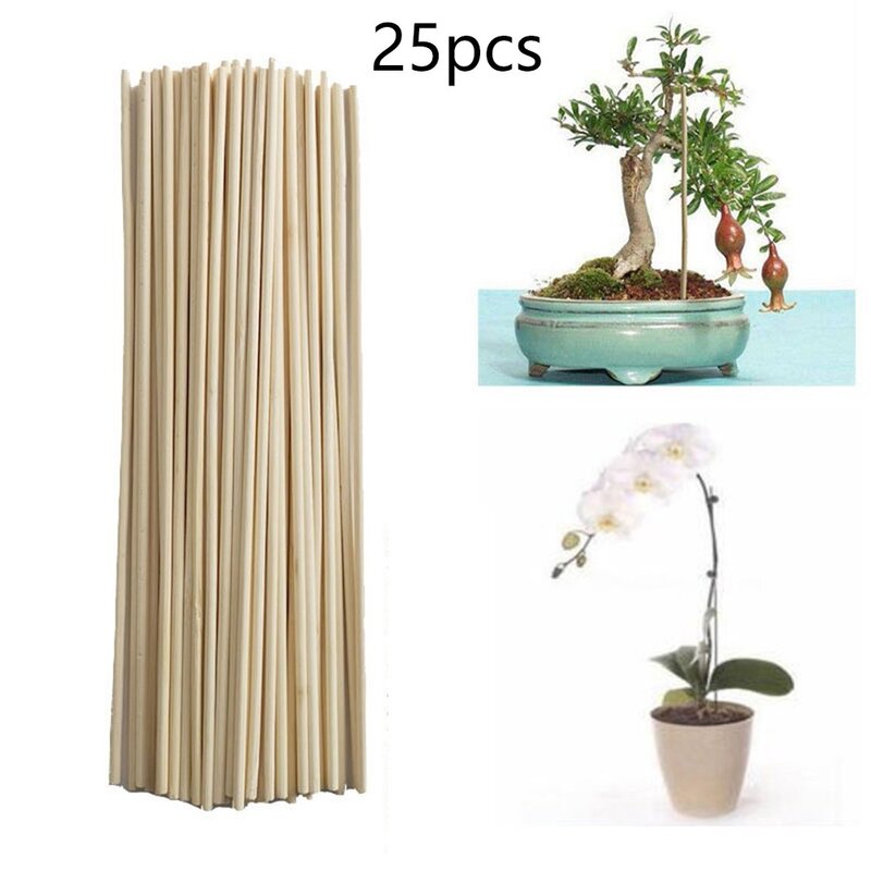 25 sztuk pałeczki bambusowe słupki kratowe do roślin ogrodowych wsparcie pomidory groszek rośliny szklarniowe uchwyt narzędzia ogrodnicze 20cm