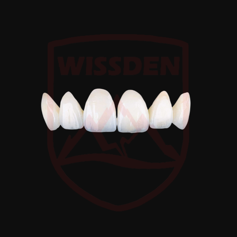 Bloques de circonia Dental 618-Wissden, consumibles de laboratorio Dental, gradiente multicapa STML, 98,12-30mm, CAD/CAM, rentable