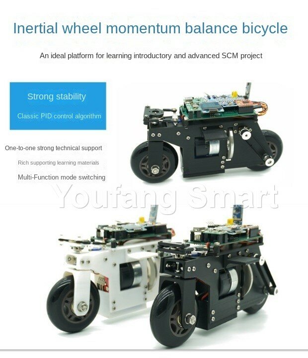 2WD RC Balance Bike Cubli Self-Balancing Flywheel 3D Printing APP Control DC Motor Motorcycle for STM32 Programmable Robot Car