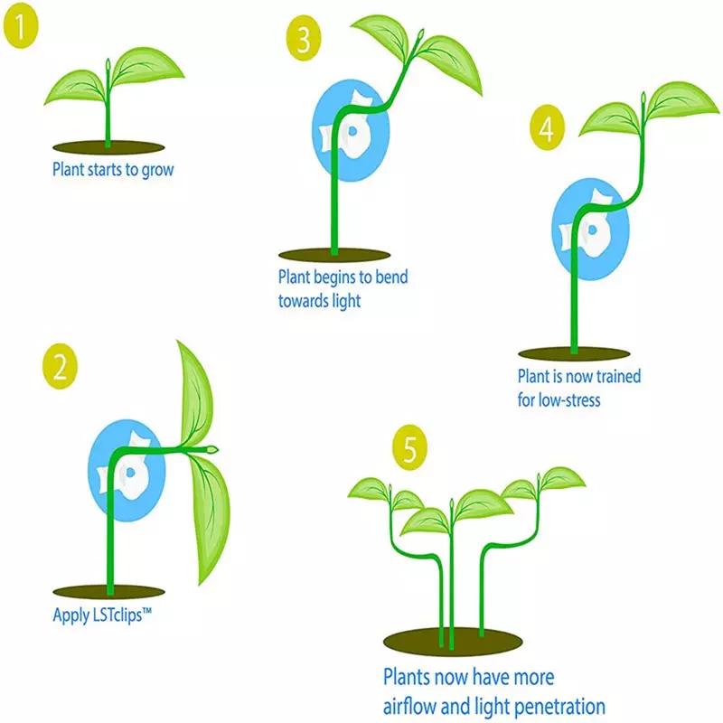 10 buah benok cabang tanaman, klip latihan taman klip pelatih 360 ° pemegang dapat disesuaikan untuk alat pelatihan stres