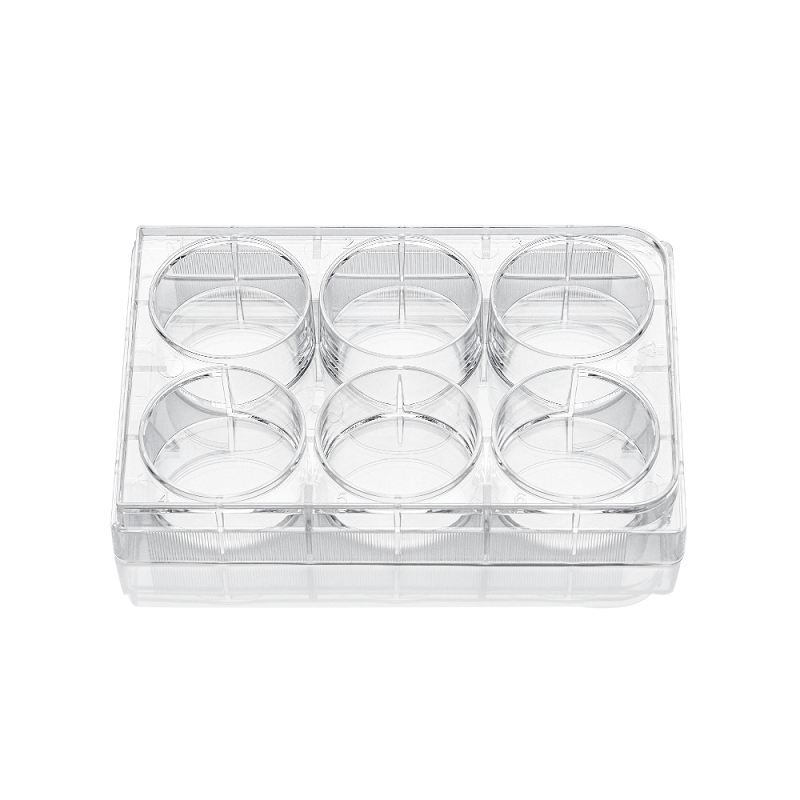 LABSELECT 6-well Cell Culture Plate, No Treated, 11120