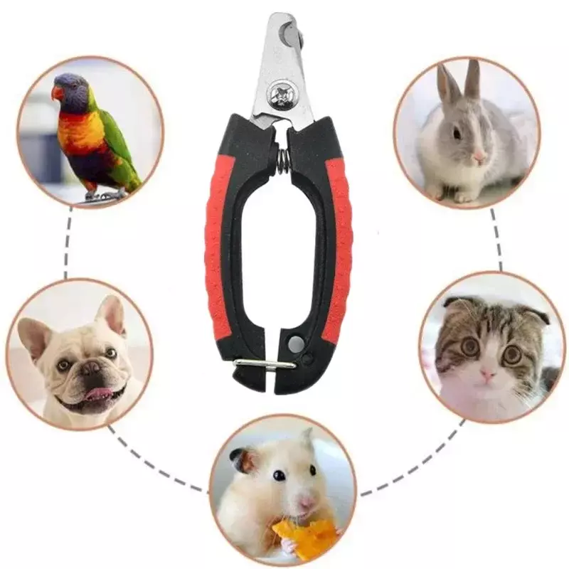 Profissional Pet Dog Nail Clipper, Cortador de aço inoxidável, Grooming Scissors, Clippers para Animais Gatos