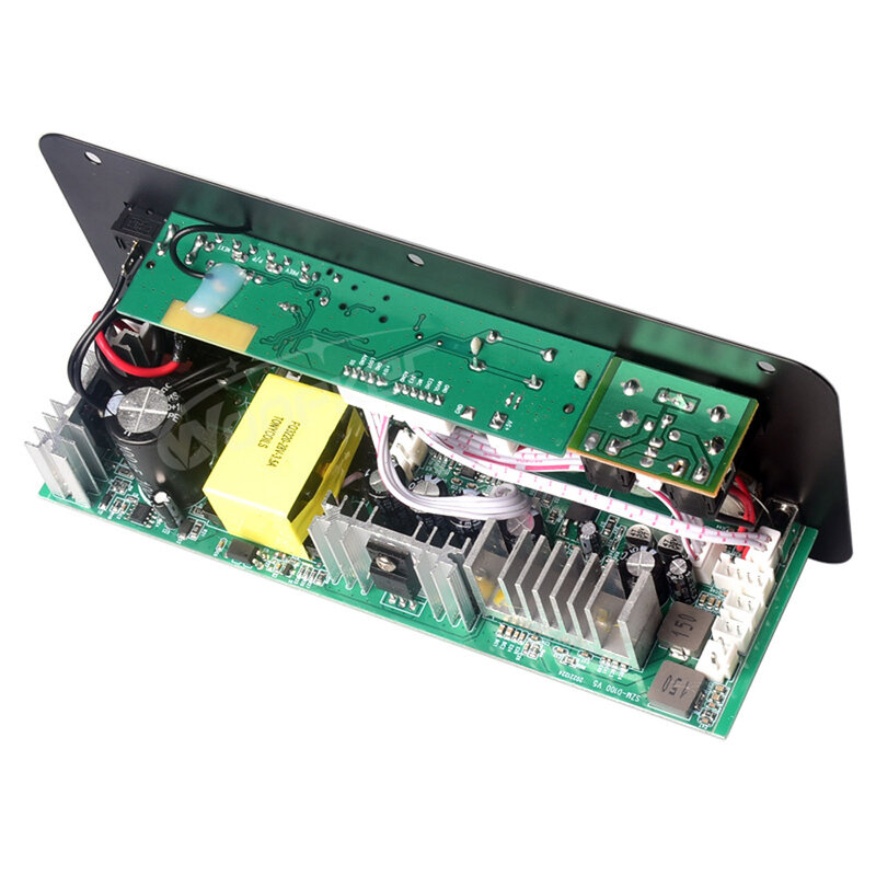 Woopker-placa amplificadora Bluetooth D100W Max 300W 220V/12V/24V, amplificador Digital, compatible con micrófono Dual, reproductor MP3
