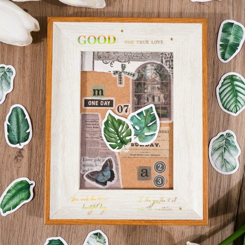 أوراق خضراء سلسلة الجنية علامات ، ألبوم الصور الديكور ، ملصق التسمية ، 12 مجموعة لكل مجموعة