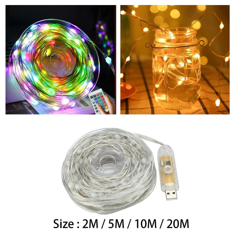 LED String Light with Remote for Holiday Valentine's Day Decoration Birthday
