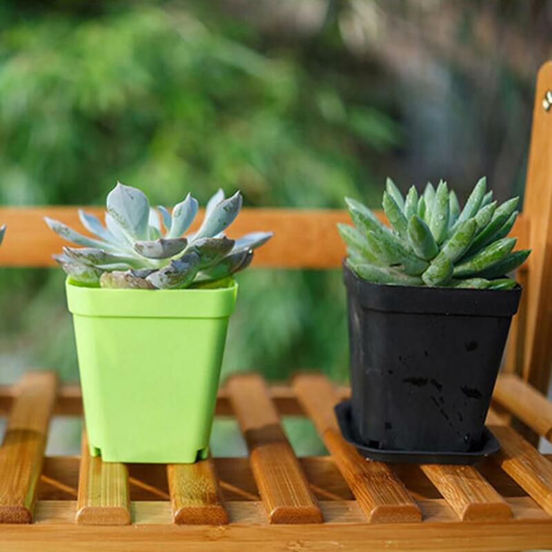 Pot tanaman sukulen bunga plastik persegi, Pot bunga dengan nampan asli kaktus lumut bernapas Bawahan Bonsai