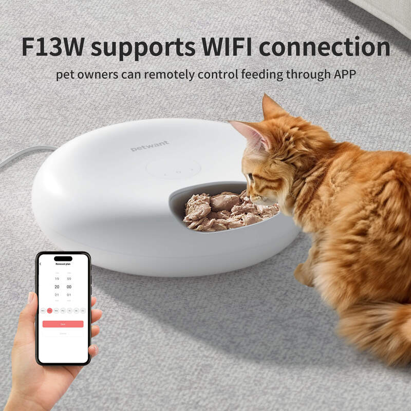 Petwant Smart Wireless Cat Dog Kleine Dieren 6 Maaltijden Droog Nat Voedsel Dispenser App Wifi Remote Timed Automatische Pet Bowls Feeder