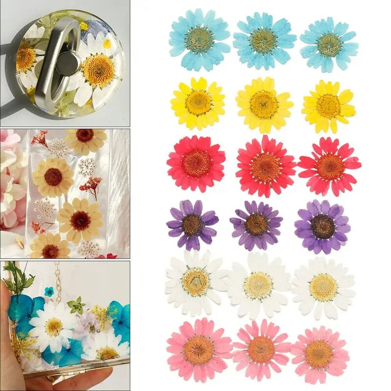 Pressionado Daisy Dried Flower Pendant Necklace, Resina Fazer Jóias, DIY Crafts Art, 12Pcs por saco