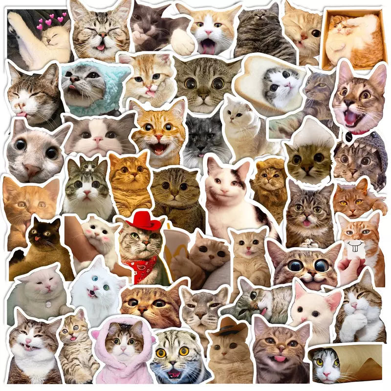 50PCS Cute Cat Stickers Vinyl Waterproof Funny Cats Decals for Water Bottle Laptop Skateboard Scrapbook Luggage Kids Toys