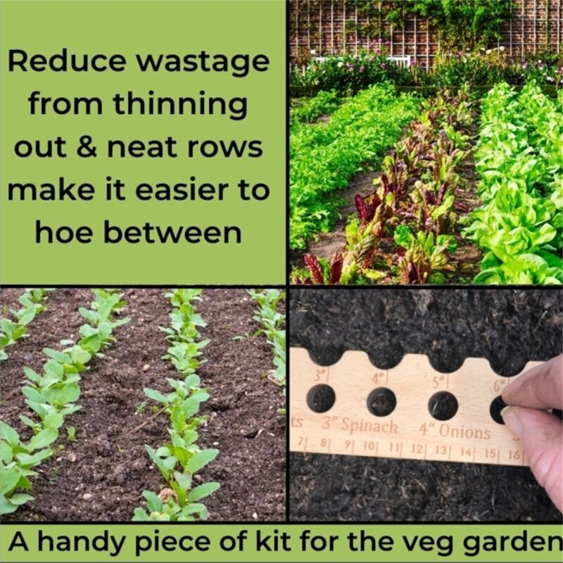 Plant Dibber Seed Spacing Ruler Organize Garden Dibber for Home Plant Vegetables