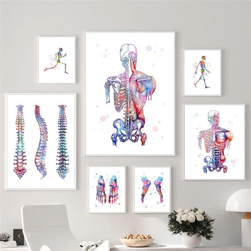 Póster de Anatomía Humana, huesos de esqueleto, pinturas decorativas, lienzo, arte de pared, oficina médica, clínica, fotos, fisioterapia, decoración de la habitación